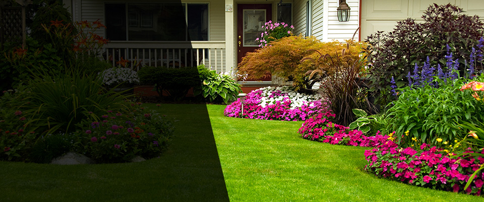 Polo Landscapers