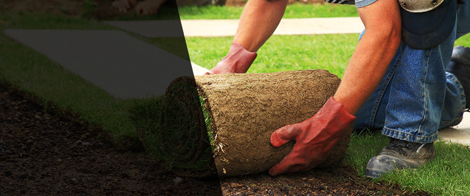 Polo Landscapers
